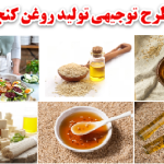 طرح توجیهی تولید روغن کنجد