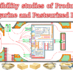 Feasibility Studies of Production Margarine and Butter