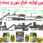 طرح توجیهی تولید خیار شور و بسته بندی میوه