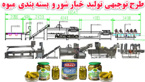 طرح توجیهی تولید خیار شور و بسته بندی میوه