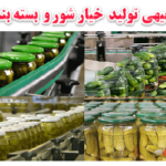 طرح توجیهی تولید خیار شور و بسته بندی میوه