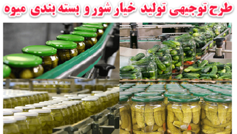 طرح توجیهی تولید خیار شور و بسته بندی میوه