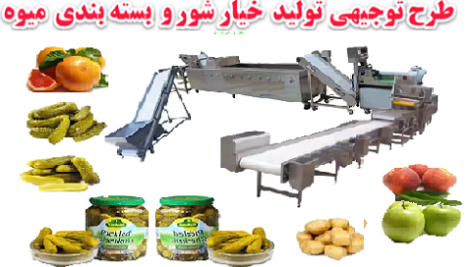 طرح توجیهی تولید خیار شور و بسته بندی میوه