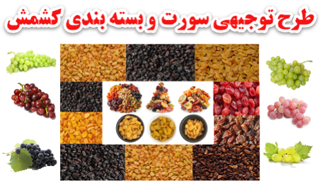 طرح توجیهی سورت وبسته بندی کشمش