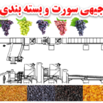 طرح توجیهی سورت وبسته بندی کشمش