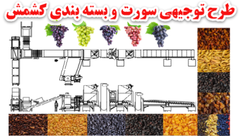 طرح توجیهی سورت وبسته بندی کشمش