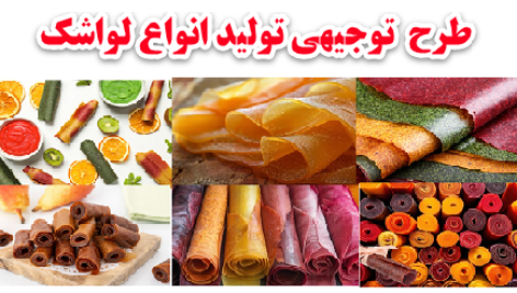 طرح توجیهی تولید لواشک میوه ها