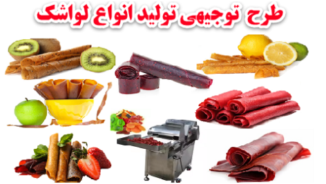 طرح توجیهی تولید لواشک میوه ها