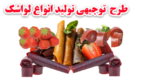 طرح توجیهی تولید لواشک میوه ها