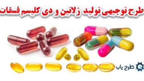 توجیهی توليد ژلاتین و دی کلسیم فسفات