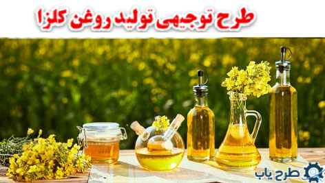 طرح توجیهی تولید روغن کلزا